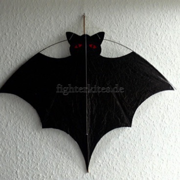skin: etched
skin material: Mylar
bow: Carbon 1,3 mm
spine: laminated bamboo
total weight: 9,1 g skin: etched
skin material: Mylar
bow: Carbon 1,3 mm
spine: laminated bamboo
total weight: 9,1 g
