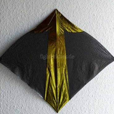 skin: applique
skin material: Orcon/Mylar
bow: Carbon 1,3 mm
spine: laminated bamboo
total weight: 8,3 g